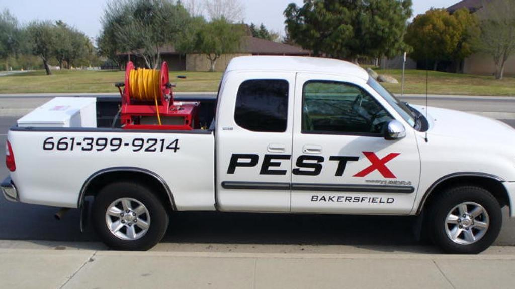 Bakersfield Pest Control Company, Pest Control Bakersfield, PESTX