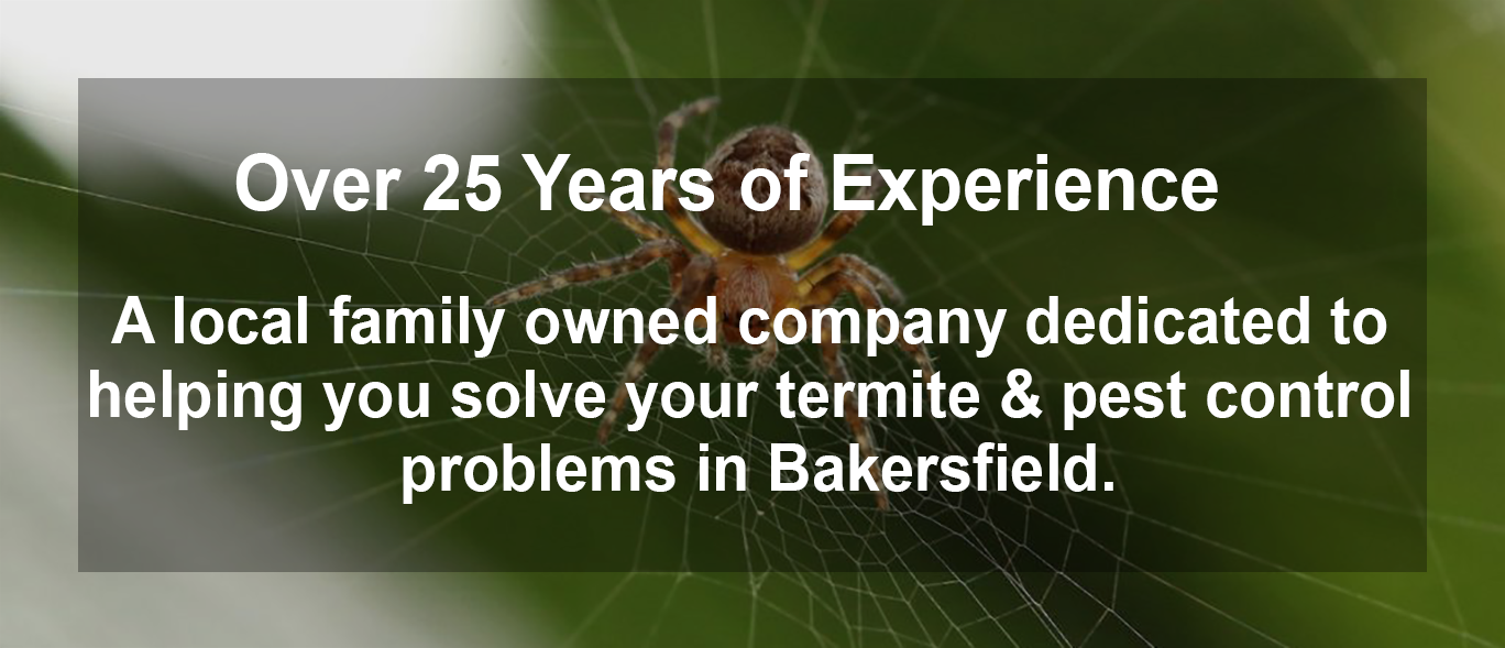 Bakersfield Pest Control, Pest Control Bakersfield, PestX