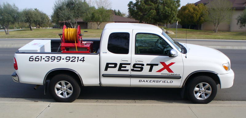 Bakersfield Pest Control, Pest Control Company Bakersfield, PESTX