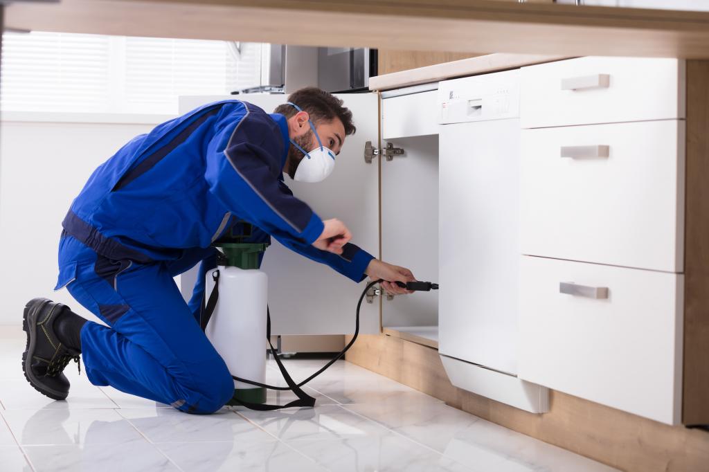 Bakersfield Pest Control, Pest Control Bakersfield, PESTX