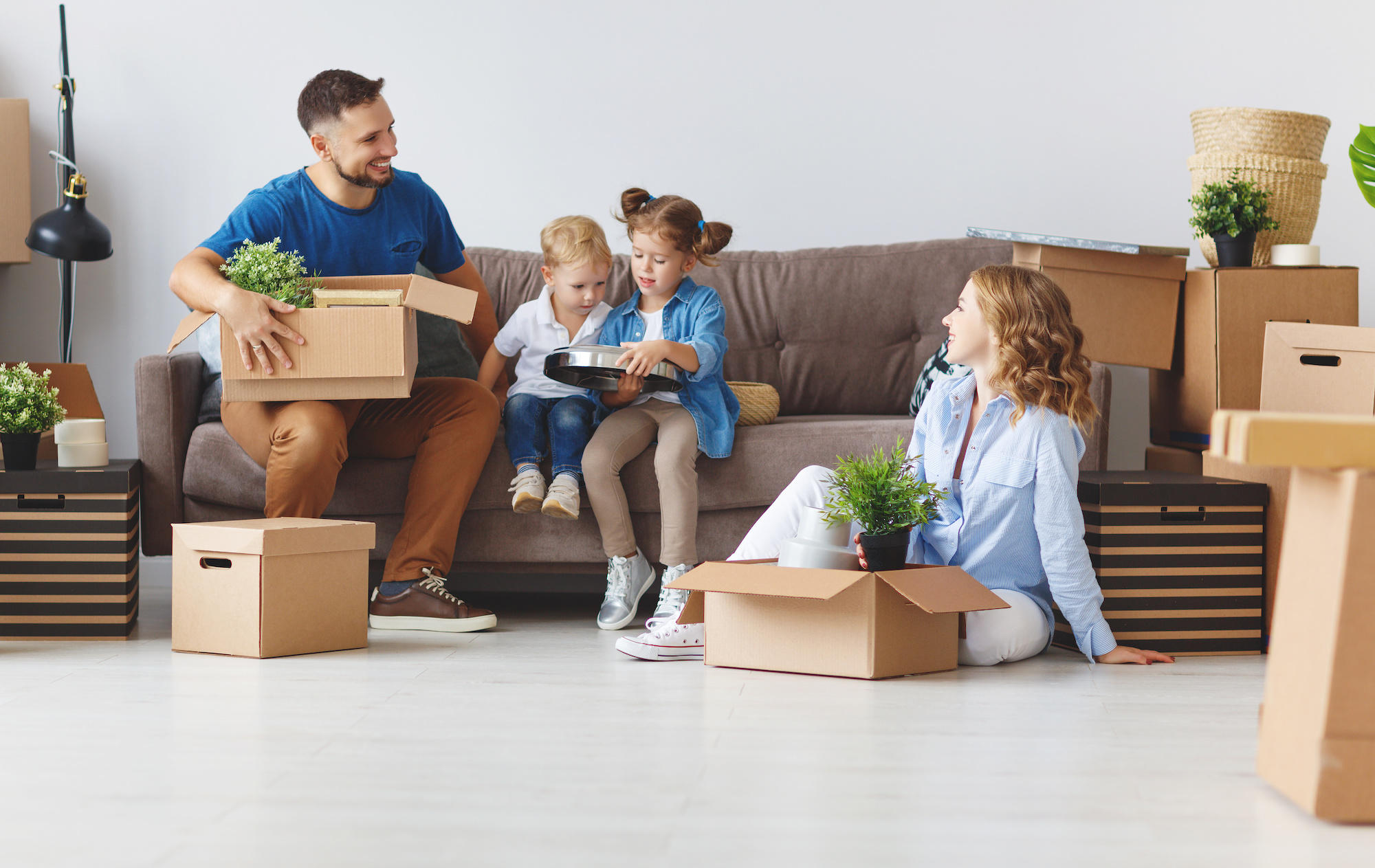 Bakersfield Pest Control Company, Pest Control Bakersfield, PESTX