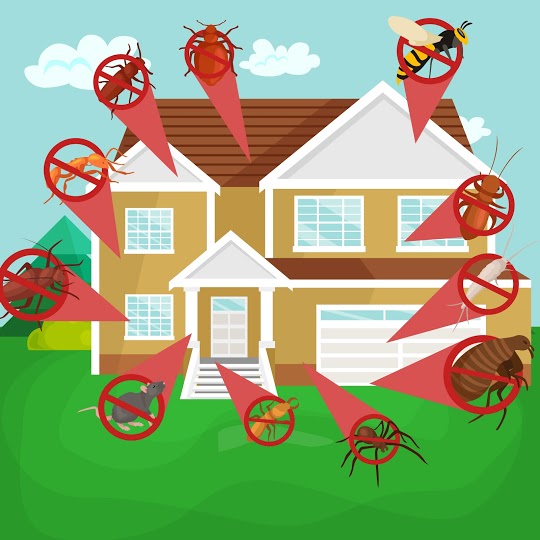 Pest control Bakersfield, Bakersfield pest control