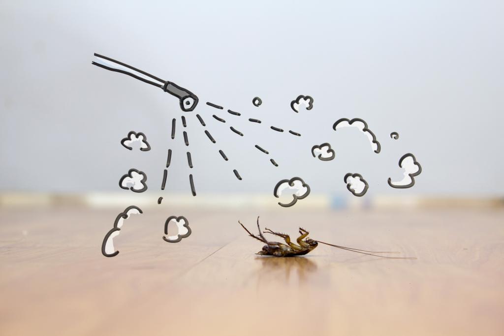 Pest Control Bakersfield, Bakersfield Pest Control Company, PESTX
