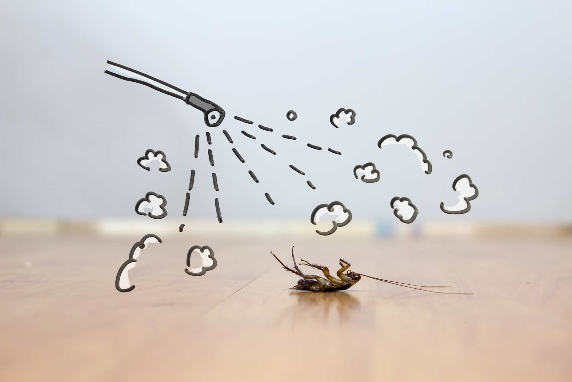 Pest Control Bakersfield, #1 Bakersfield Pest Control Company, PESTX