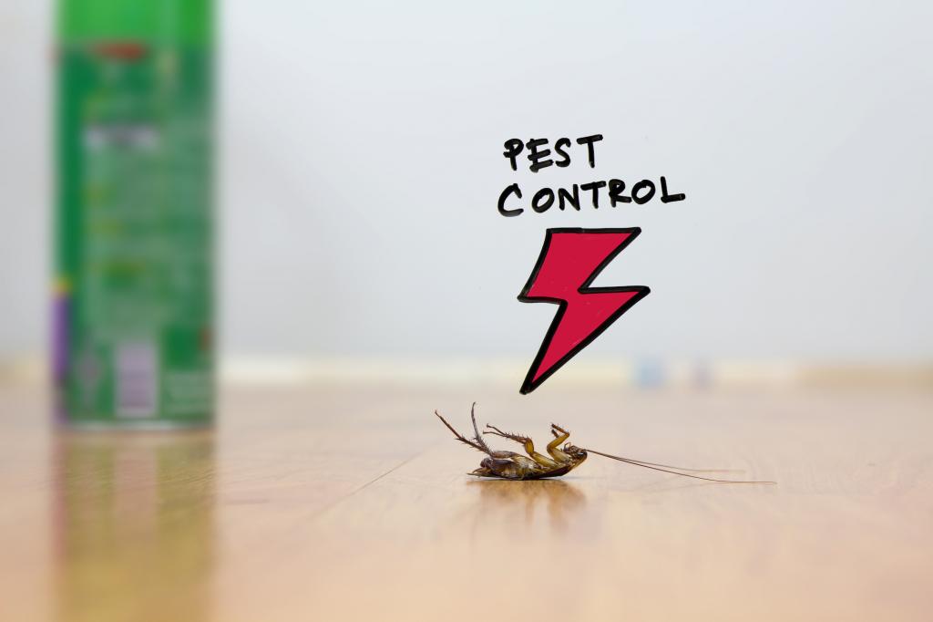 Bakersfield Pest Control Company, Pest Control Bakersfield, PESTX