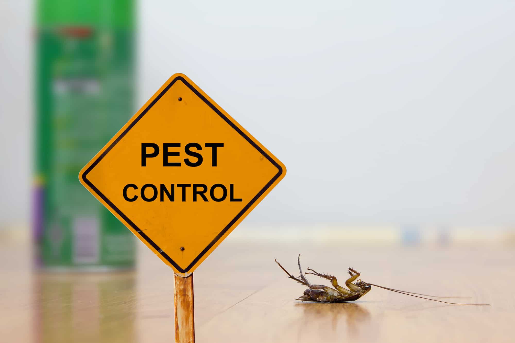 Bakersfield Pest Control, #1 Pest Control company Bakersfield, PESTX