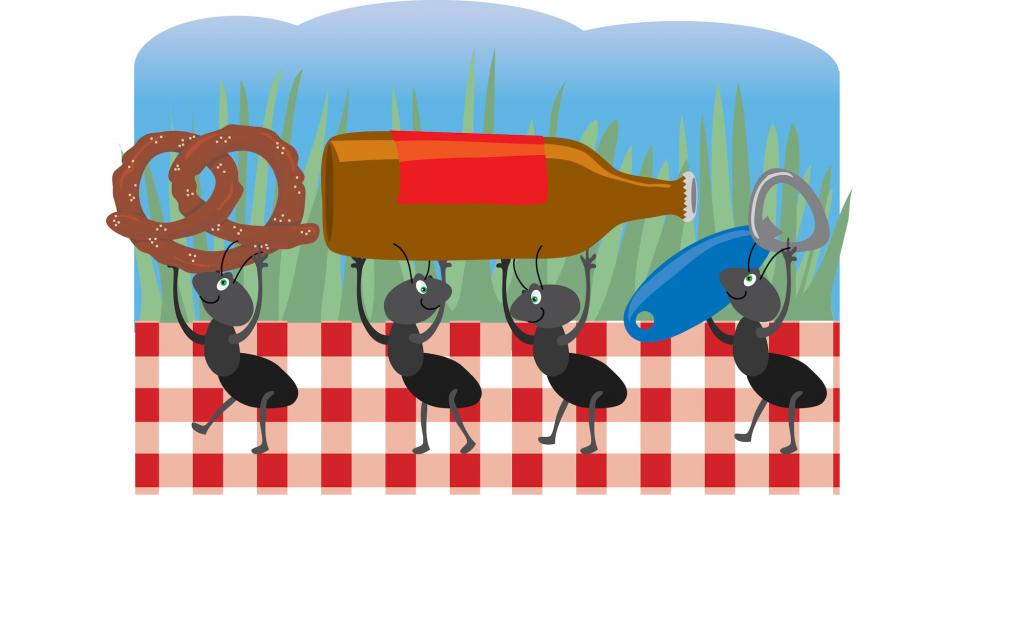 Ant pest control in Bakersfield, Bakersfield Pest Control Companies, #1 Pest Control Bakersfield, PESTX