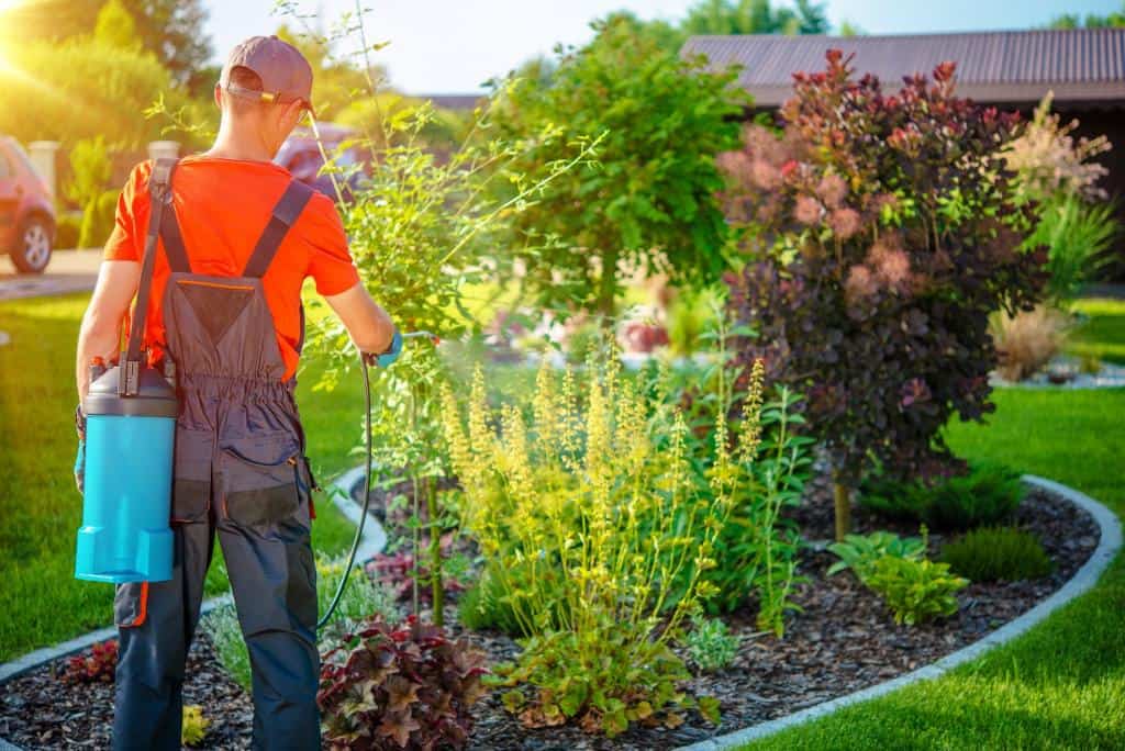 Bakersfield Pest Control, Pest Control Bakersfield, PESTX