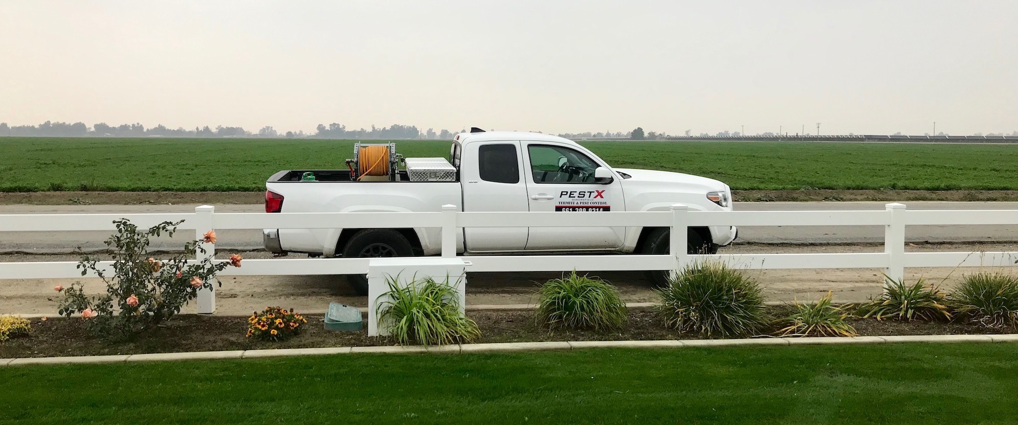 Bakersfield Pest Control Company, Pest Control Bakersfield, PESTX