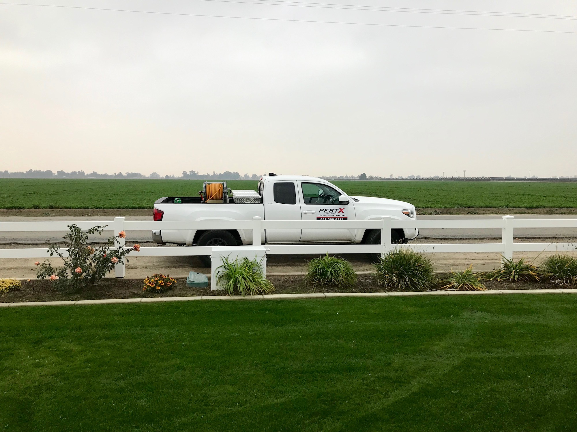 pest control in Bakersfield, Bakersfield pest control